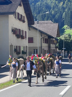 MiniAlpabzug im Entlebuch