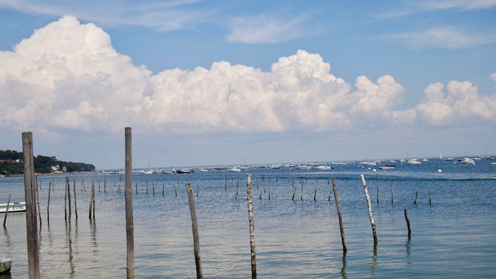 Am Bassin d'Arcachon