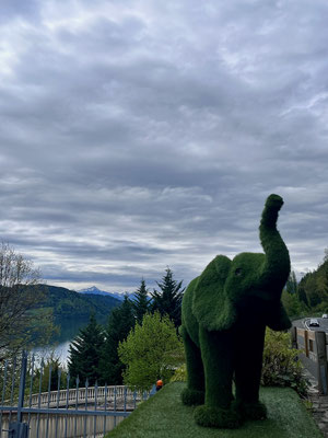 Elefantöser Gartenschmuck 
