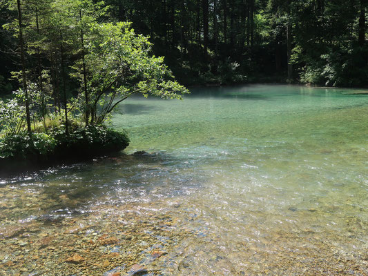 An der Quelle der Kaminska Bistrica