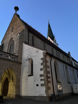 Storchenversammlung auf Bad Saulgau’s Kirchenfirst