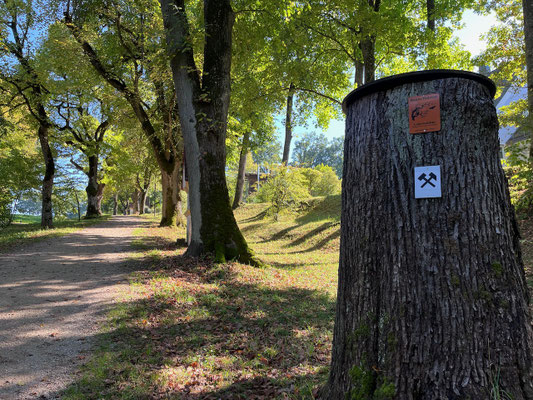 Auf Bergbaupfaden 