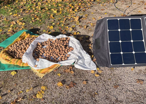 Die Sonne leistet hervorragende Dienste