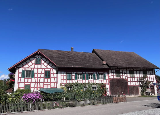 Charakteristisches ZürcherWeinland
