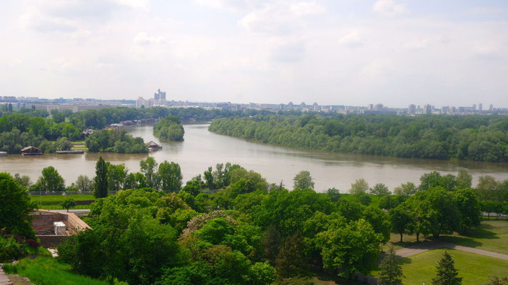 Die Sava und die Donau umarmen sich in Belgrad