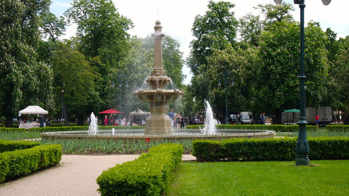 Im Stadtpark Bischofgarten mit so vieeeel Grün kommt Freude auf