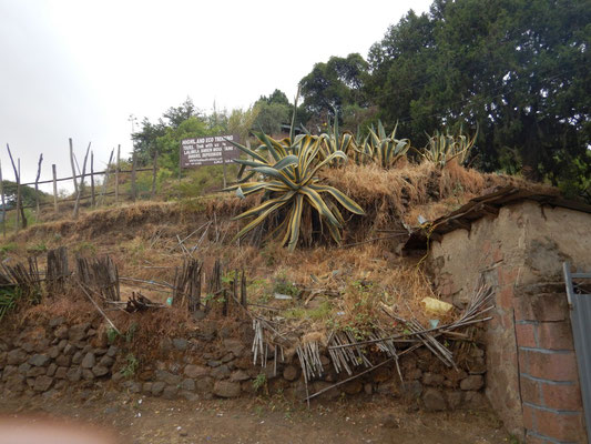 Lalibela en trek une ville sereine.  Voyage Séjour Trekking et randonnée, Road Trip en Ethiopie.  Région Amhara