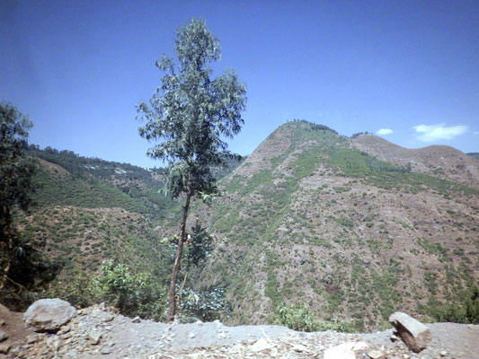 Road Trip Wodya to Lalibela Ethiopia Voyage Séjour Trekking et randonnée, Road Trip en Ethiopie.  Région Amhara