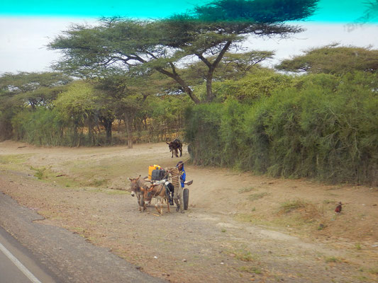 Voyage Séjour Road Trip Trek Trekking Randonnée en Ethiopie. Région Oromia Visite de la Région Oromia en Ethiopie.