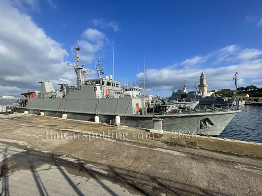 M 33 tambre