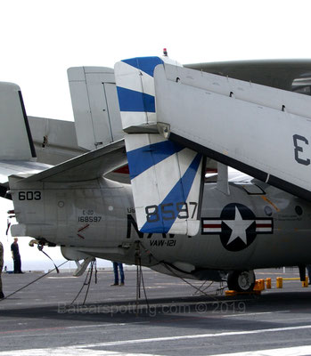 VAW-121 Bluetails