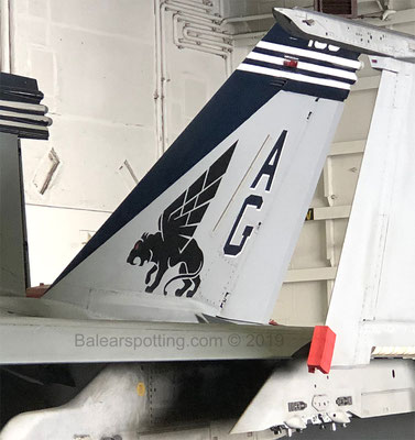 VFA-143 Pukin Dogs