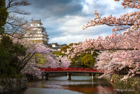 Japan16