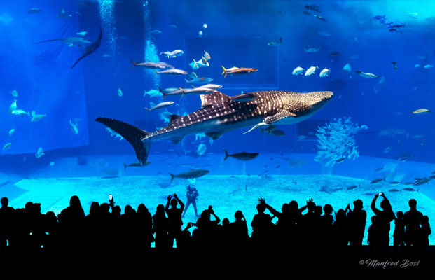 Tierwelt8