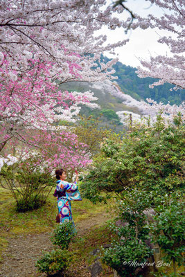 Japan20
