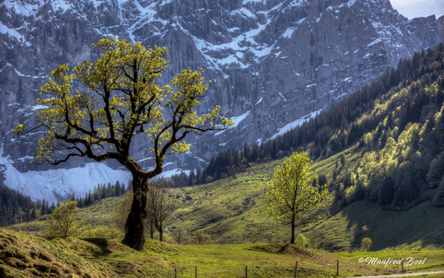 HDR25
