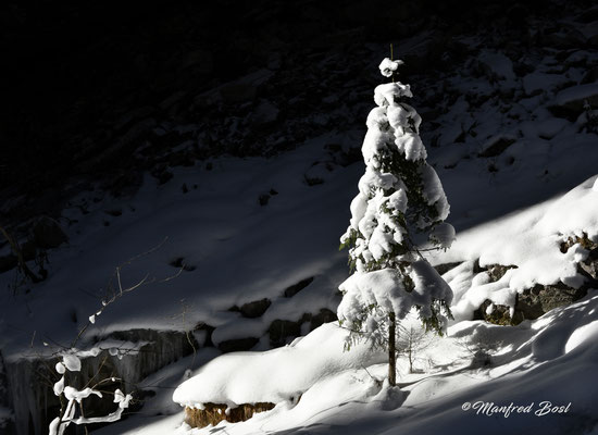 Winterwelten24