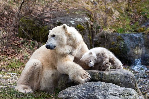 Tierwelt4