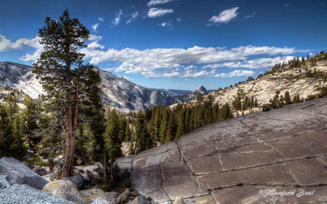 HDR11