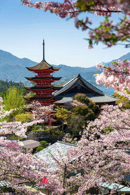 Japan32