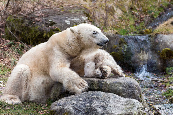Tierwelt3