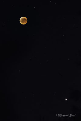 Mond4