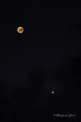 Mond13