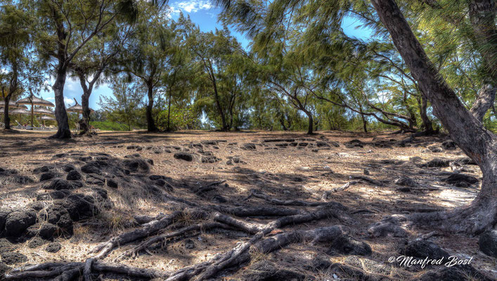 HDR14