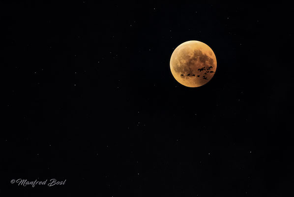 Mond12