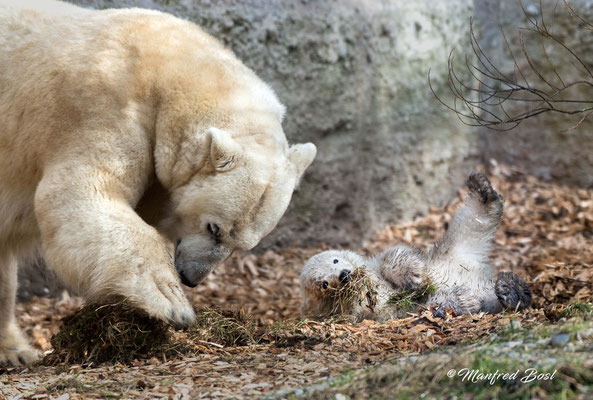 Tierwelt5