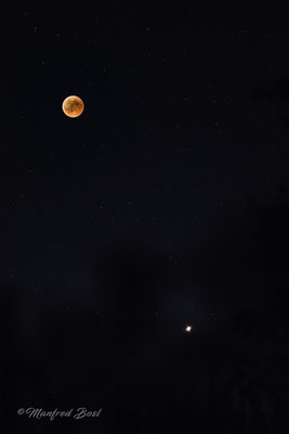 Mond8