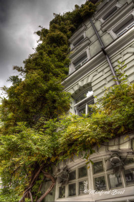 HDR24