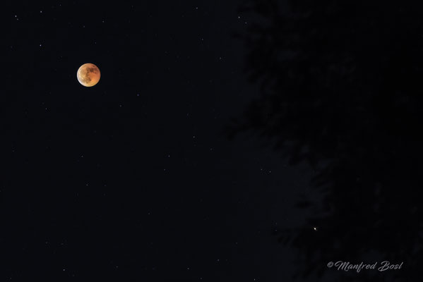 Mond7