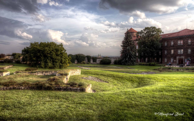 HDR19