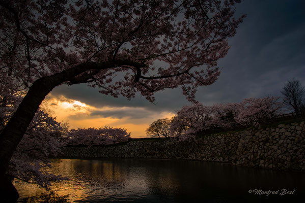 Japan19