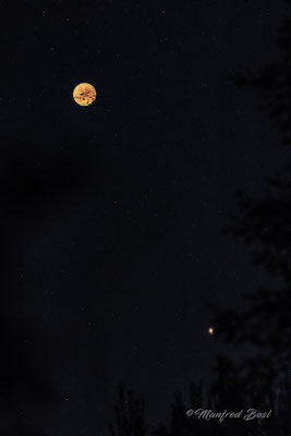 Mond15