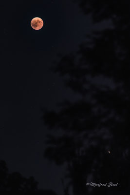 Mond2