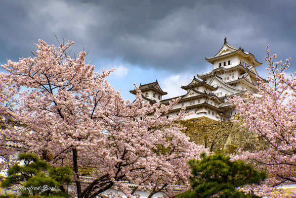 Japan14