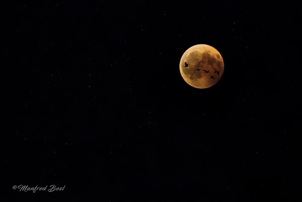 Mond10