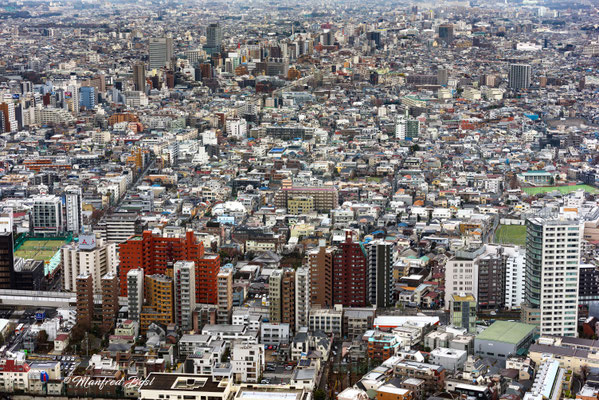 Japan 2