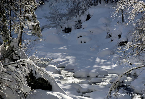 Wasser10