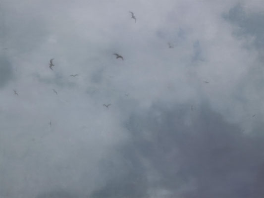 Birds 3 120x160cm 2019