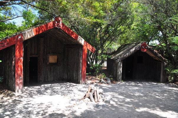 Te Puia Institute - nachgestelltes Maori-Wehrdorf