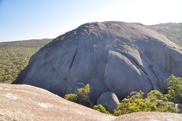 Granitgestein im Girraween Nationalpark