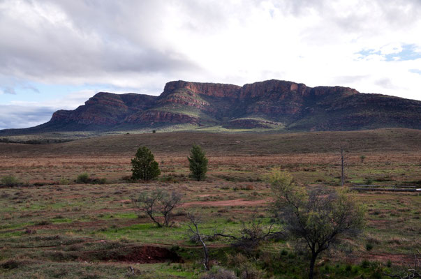 Kurz vor der südlichen Parkgrenze des Flinders Ranges Nationalpark