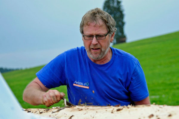                                                                                                                                                                                 Foto: Manfred Zinss