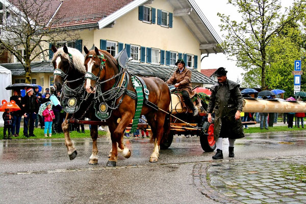                                                                                                                                                                               Foto: Manfred Zinss