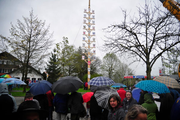                                                                                                                                                                                Foto: Manfred Zinss