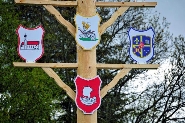 Der Maibaum - Seeg 2015 !                                                                                                                                     Foto: Manfred Zinss