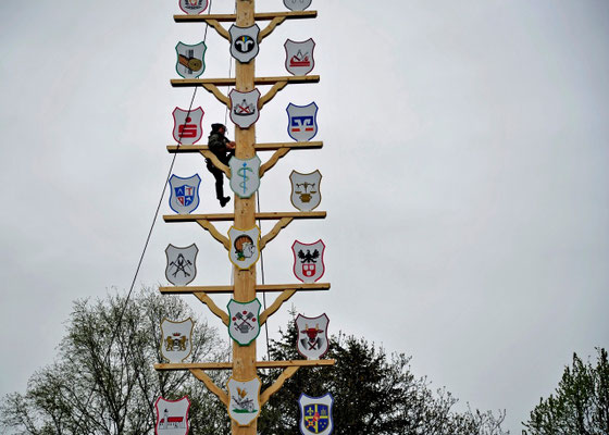                                                                                                                                                                                Foto: Manfred Zinss